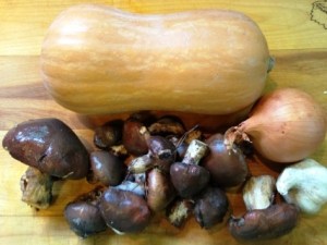 bsopacalabaza boletus1