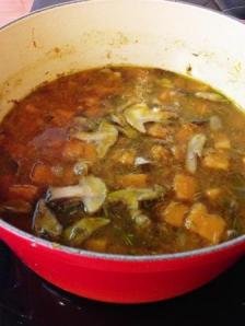 bsopacalabaza boletus2