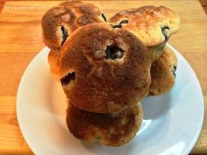 Magdalenas arandanos