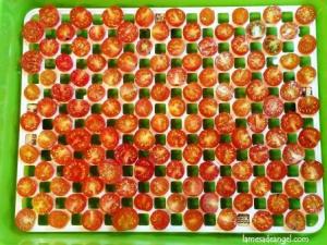 tomates secos2