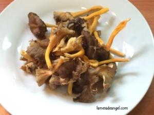 angula salmonete judia1