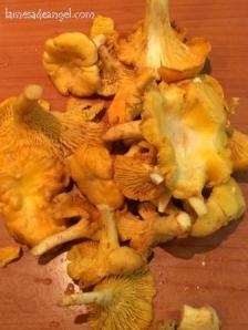 rebozuleo salchicha1