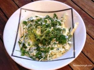 ensalada col cilantro