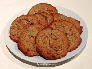 galleta avena arandanos