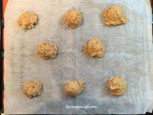 galleta avena arandanos6