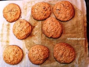 galleta avena arandanos7